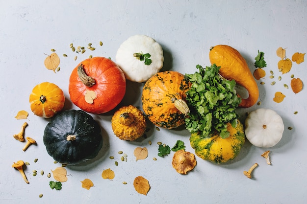 Variety of colorful pumpkins