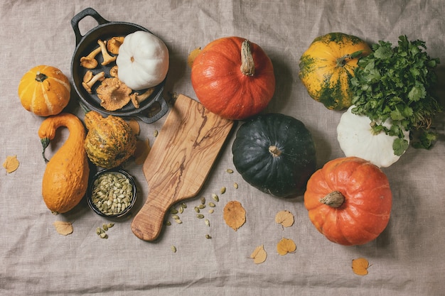 Variety of colorful pumpkins