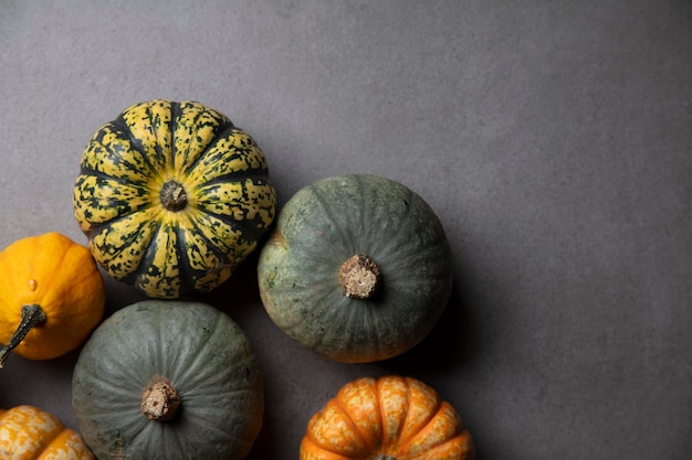a variety of different autumnal pumpkins and gourds on a dark concrete background