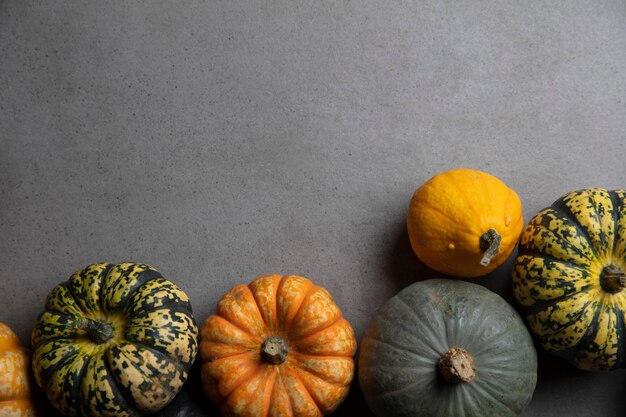 a variety of different autumnal pumpkins and gourds on a dark concrete background