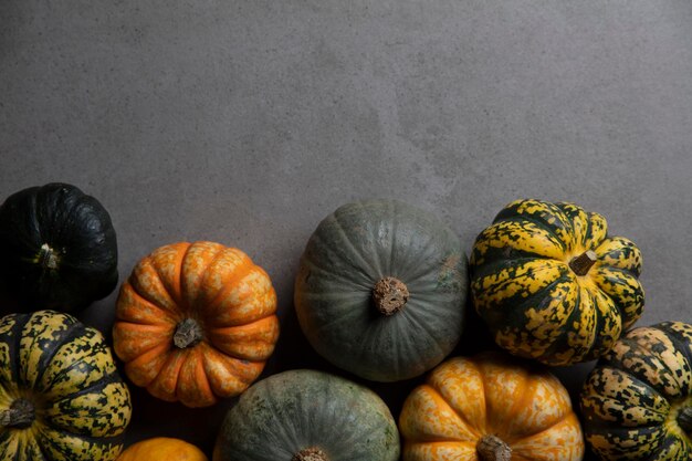 a variety of different autumnal pumpkins and gourds on a dark concrete background