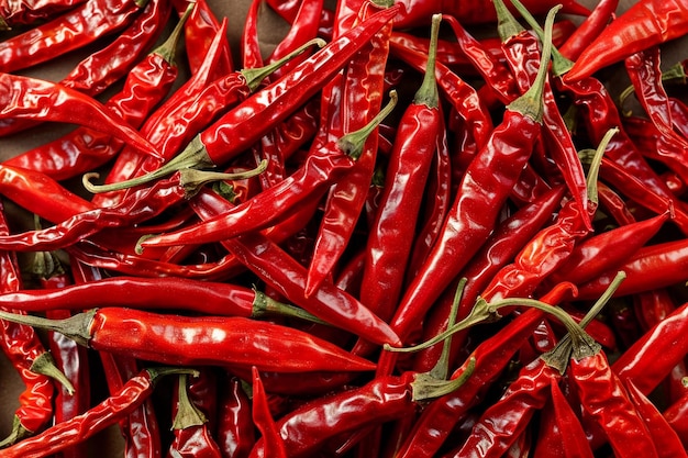 Variety of dried red hot chilli peppers top view