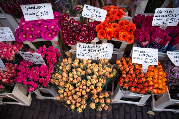 Variety of food for sale