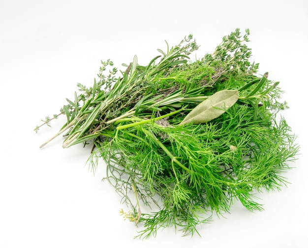 Photo variety of fresh aromatic herbs