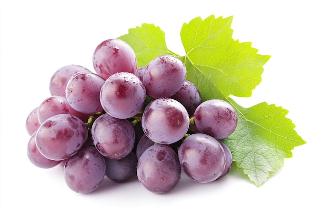 variety of fresh grapes isolated on a white background with water droplets and green leaves