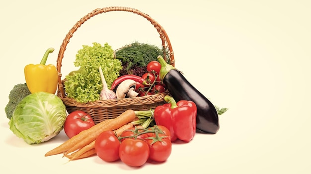 Photo variety of fresh and ripe vegetables isolated on white backdrop copy space