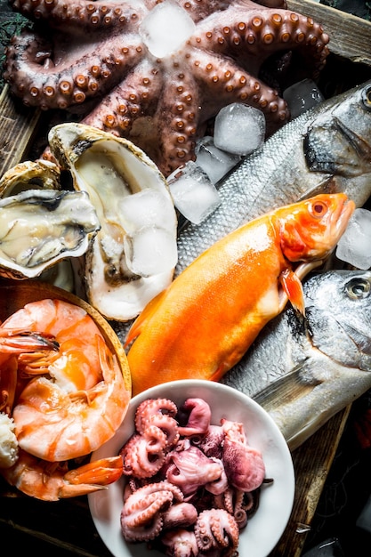 Foto una varietà di frutti di mare freschi con cubetti di ghiaccio