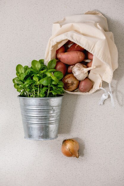 Variety of fresh vegetables