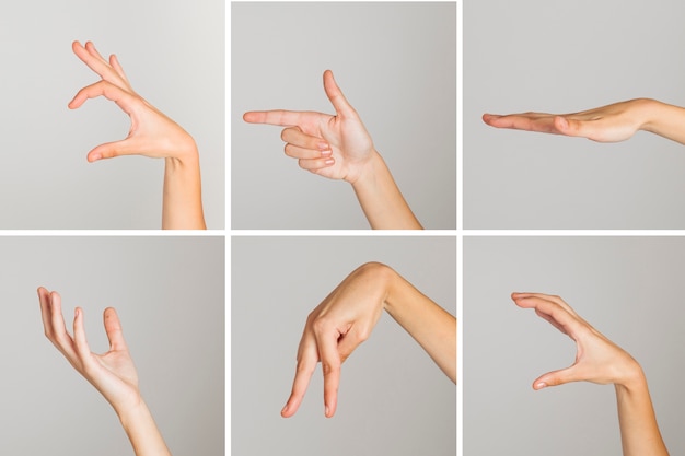 Photo variety of hand gestures