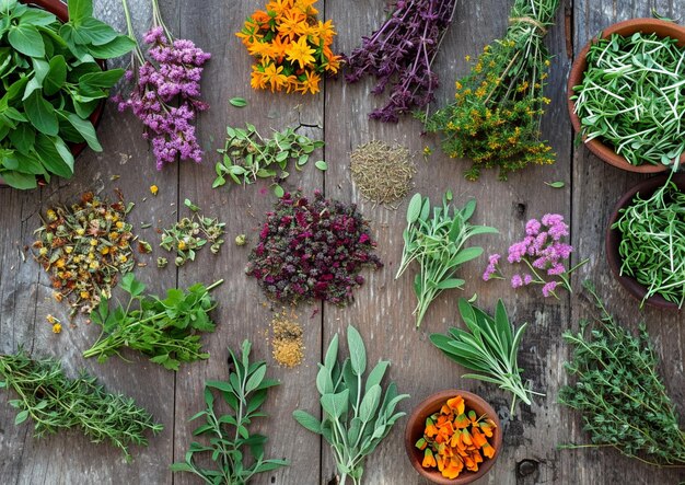 a variety of herbs are placed on a wooden table