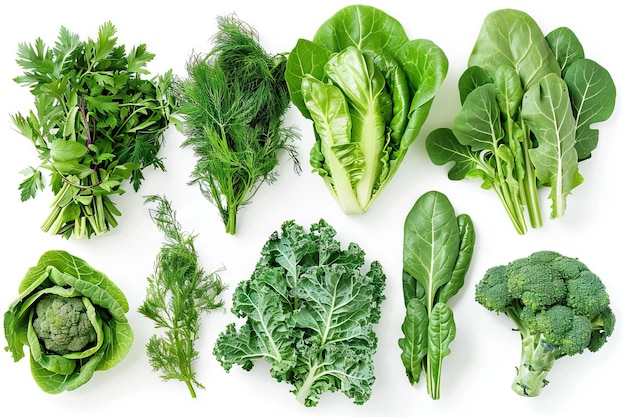 Variety of leafy green vegetables isolated on white background vegetable