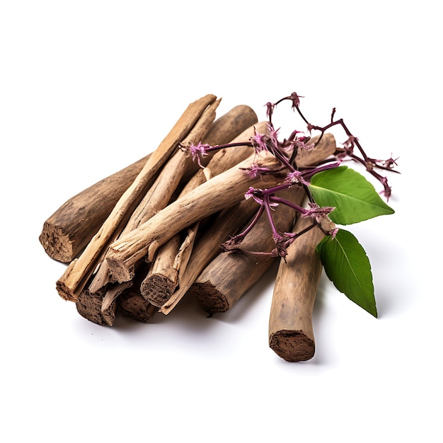 Variety of nature valerian root type of herb valeriana officinalis form of her popular in life