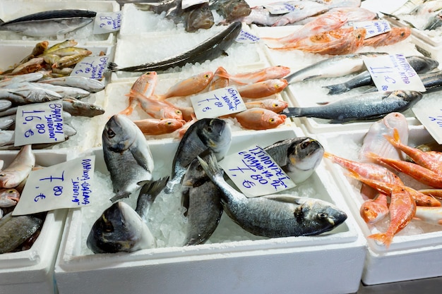 写真 ギリシャの魚屋のカウンターで海の魚の様々な