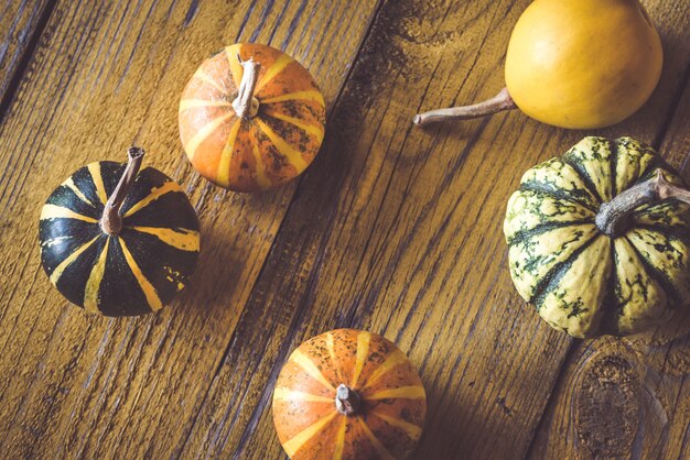 Variety of ornamental pumpkins