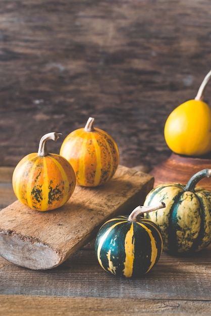 Variety of ornamental pumpkins