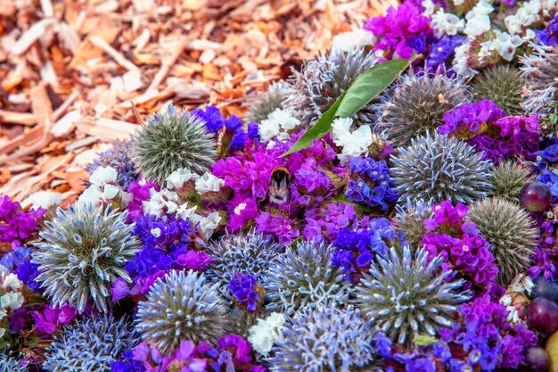 多彩なピンクと紫の花 フローラル ビジュアル 満開 鮮やかな花景 ライブウォール 色とりどりの花 春の時期