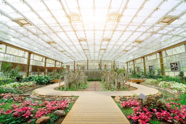 Variety of plants grown in the greenhouse