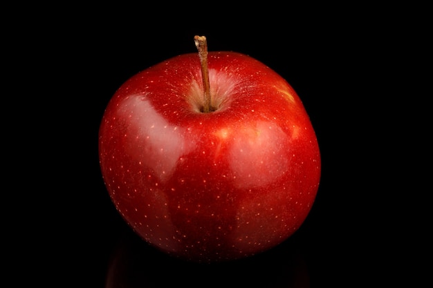 Variety of red apples red chief