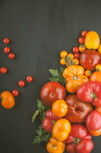 variety of ripe colourful organic tomatoes