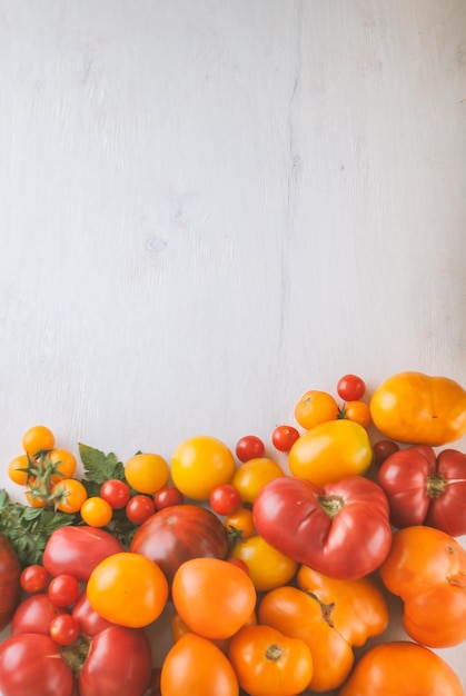 variety of ripe colourful organic tomatoes