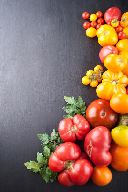 variety of ripe colourful organic tomatoes