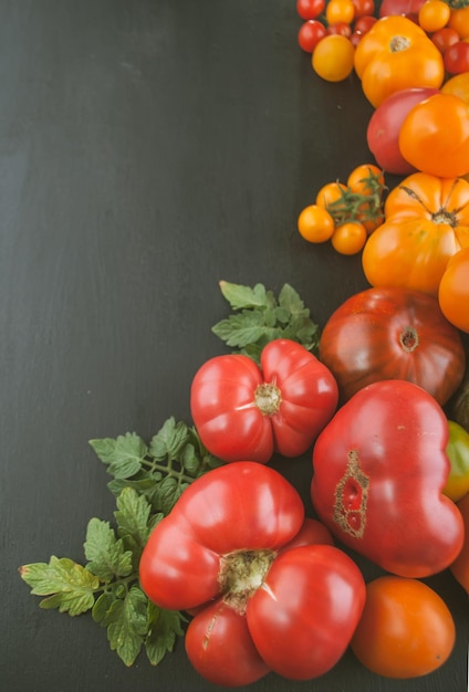 variety of ripe colourful organic tomatoes