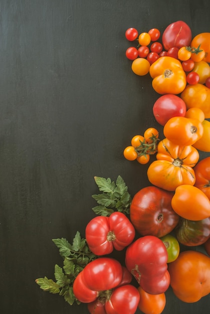 Photo variety of ripe colourful organic tomatoes