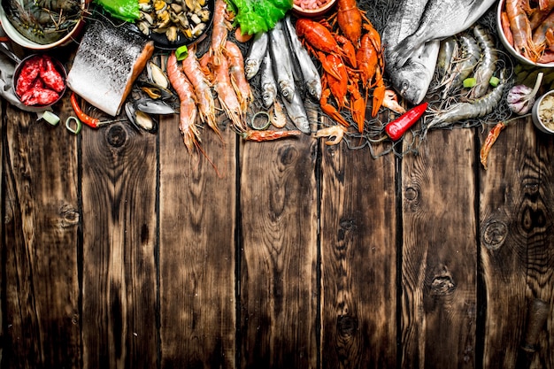 Photo variety of seafood on a fishing net.