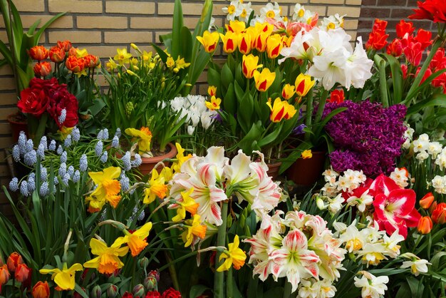 Variety of spring flowers in pots on display in street shop