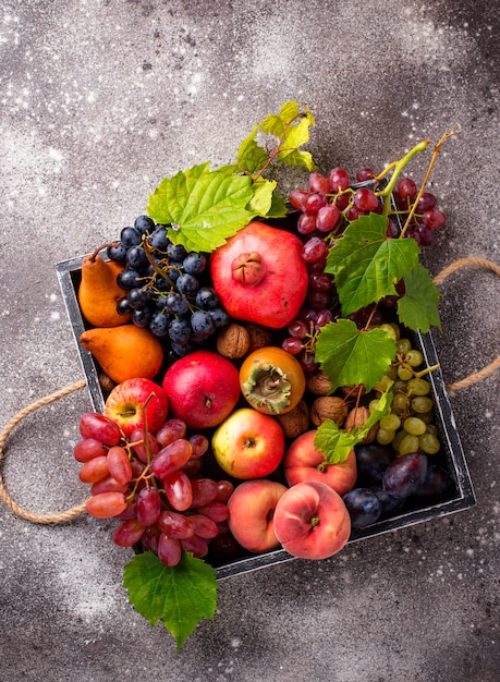 Various autumn fruits. Harvest concept