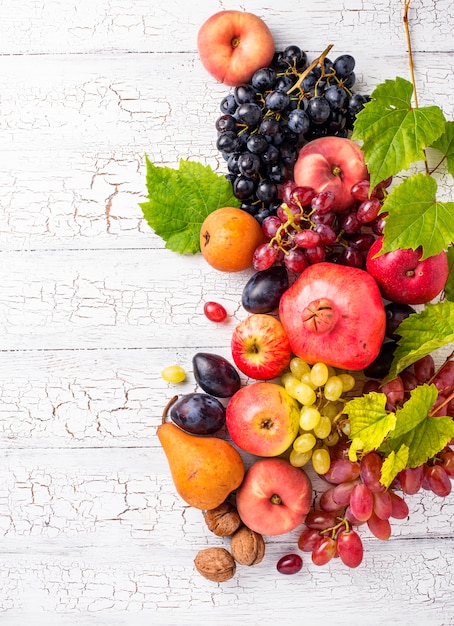 Various autumn fruits on white wood