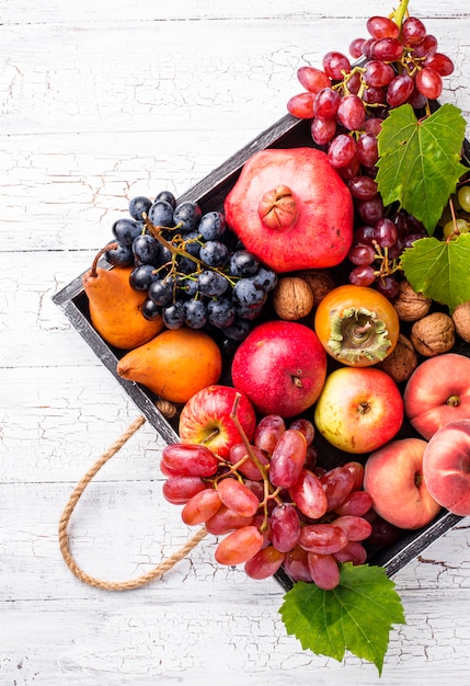 Various autumn fruits