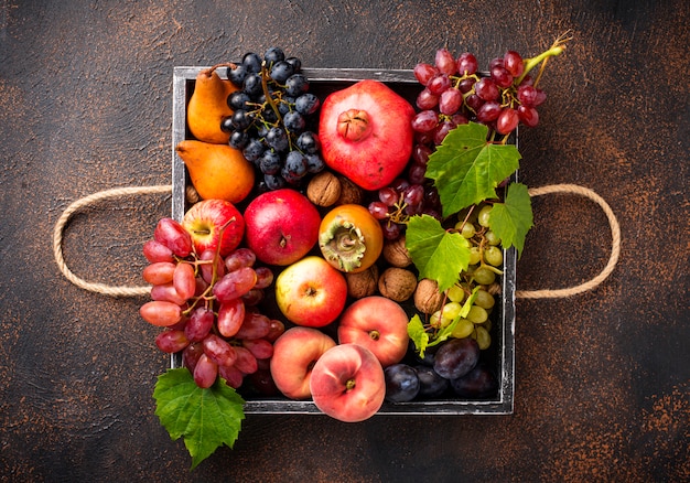 Various autumn fruits