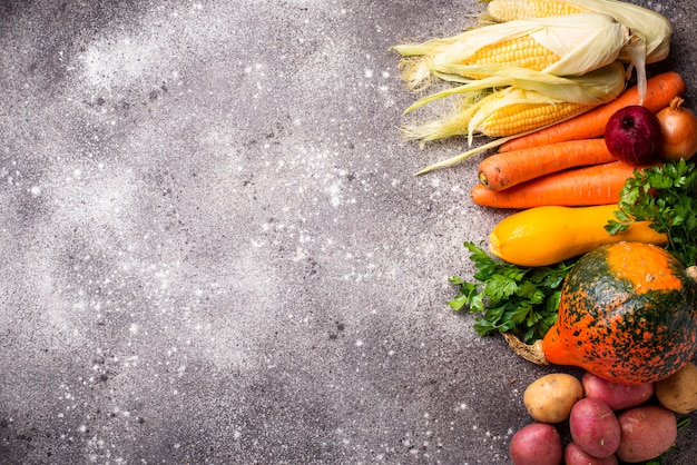 Various autumn vegetables, Harvest concept