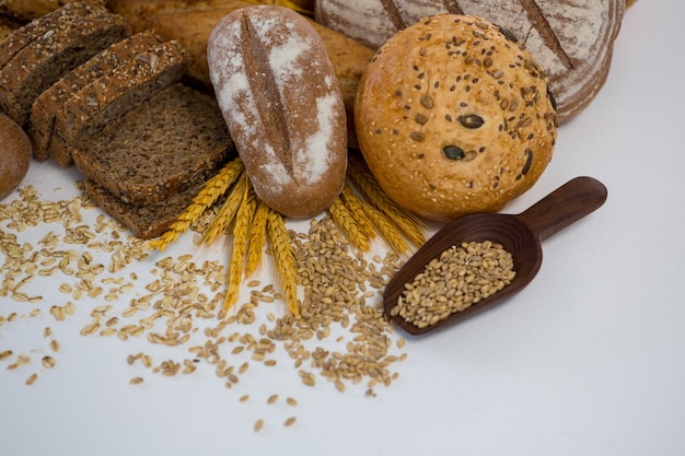 Photo various bread loaves