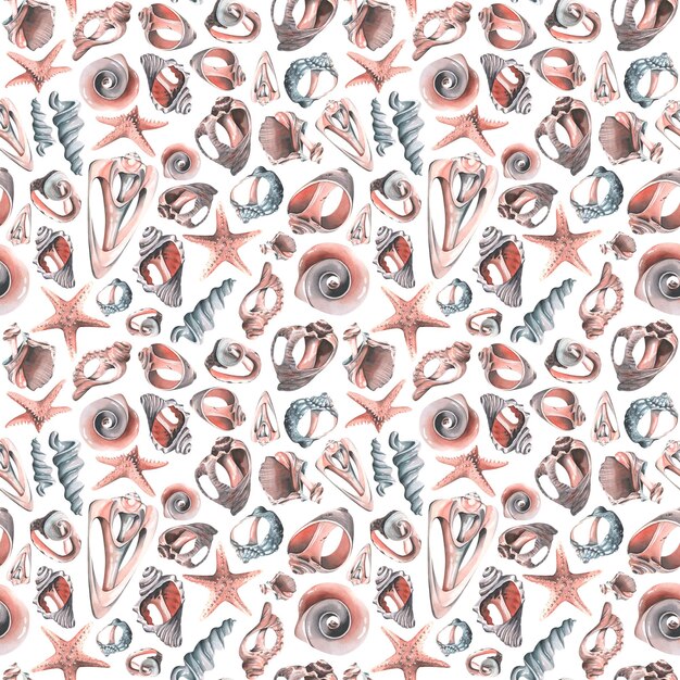 Various broken seashells and starfish on a white background Watercolor illustration Seamless pattern from the collection of WHALES For fabric textiles wallpaper packaging beach and summer prints