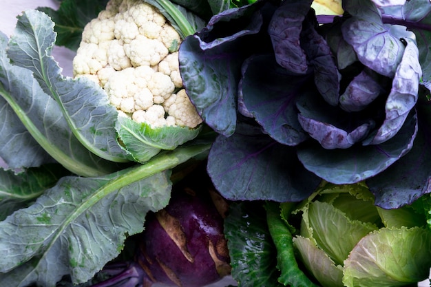 Photo various of cabbage broccoli cauliflower  assorted of cabbages surface