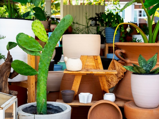 Vari vasi di piante in ceramica colorati con una grande decorazione di cactus verde su ripiano in legno nel giardino interno. fioriera geometrica in ceramica.