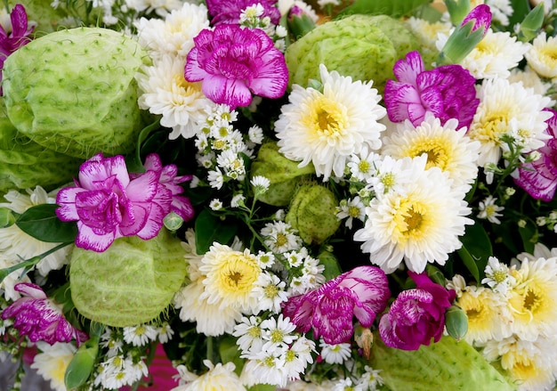 Various colorful flowers.