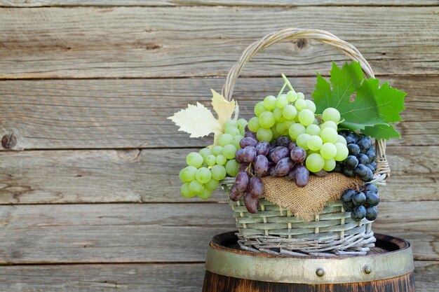 写真 ワイン樽の様々な色とりどりのブドウ