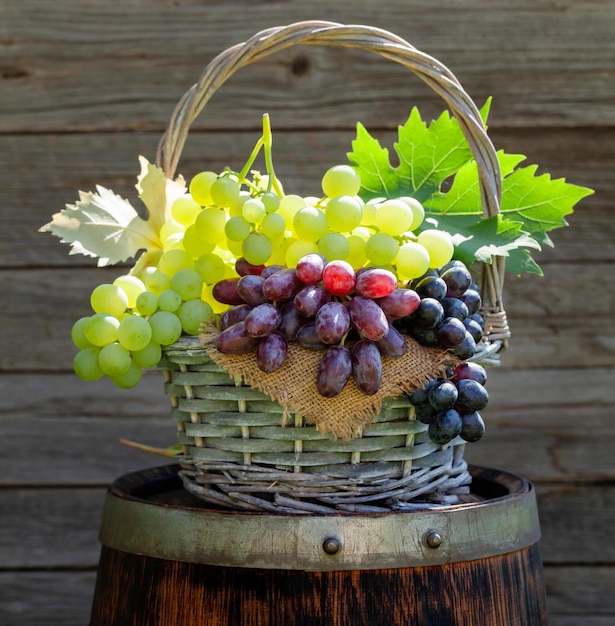 Various colorful grapes on wine barrel