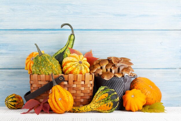 Various colorful squashes and pumpkins