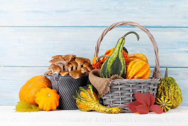 Various colorful squashes and pumpkins