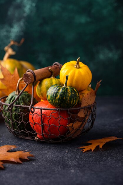 Various decorative pumpkins. Autumn harvest