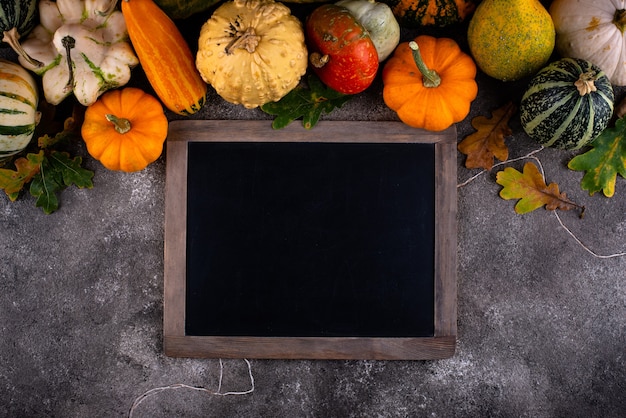 Various decorative pumpkins autumn harvest