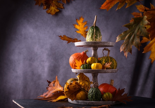 Various decorative pumpkins and dry leaves. Autumn harvest