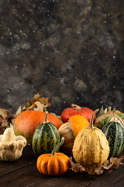 Various decorative pumpkins and dry leaves