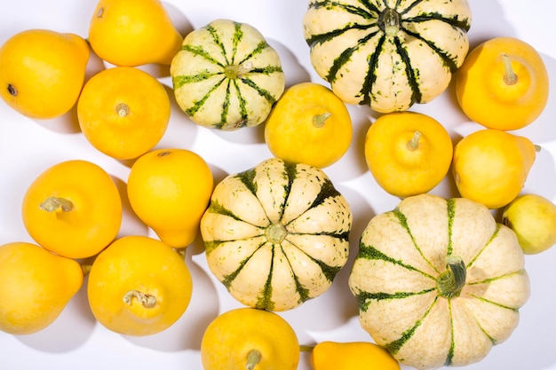 Various decorative pumpkins on a light background