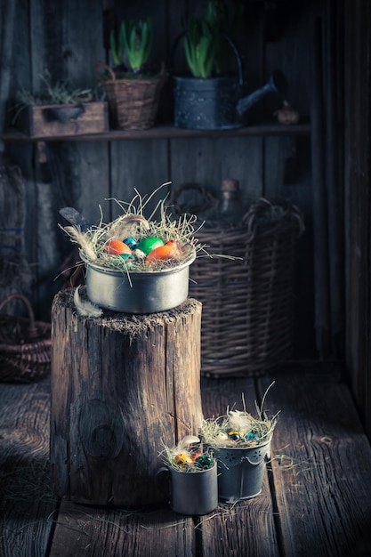 Various Easter eggs with hay and feathers