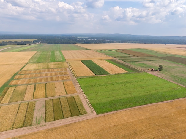 Various field sections with ground roads